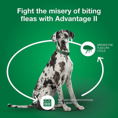 Advantage II Dogs Over 55 lb, 4pk