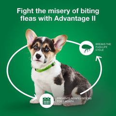 Advantage for Dogs 3-10# - 6pk