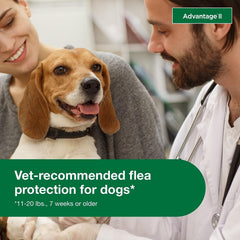 Advantage for Dogs 11-20lb - 6pk