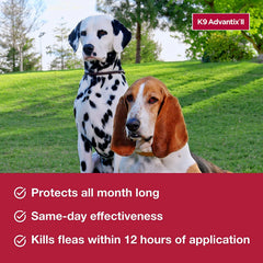 K9 Advantix II, Dogs 4-10 lbs, 6 pack (Updated Weight)