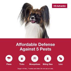 K9 Advantix Small Dog 2pk