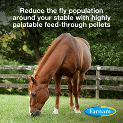 SimpliFly with Larvastop Feed Control, 20 lb