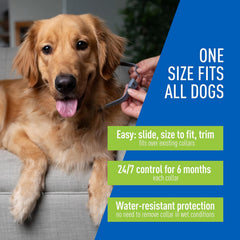 Adams Plus Premium Gold Flea & Tick Collar for Dogs, 2 pack, One size