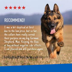Adams Plus Premium Gold Flea & Tick Collar for Dogs, 2 pack, One size