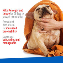 ADAMS Plus Flea & Tick Foaming Shampoo & Wash for Dogs & Puppies Over 12 Weeks, Sensitive Skin Flea Treatment, 10 oz