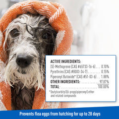 ADAMS Plus Flea & Tick Foaming Shampoo & Wash for Dogs & Puppies Over 12 Weeks, Sensitive Skin Flea Treatment, 10 oz
