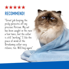 ADAMS Plus Flea & Tick Collar for Cats, Breakaway Collar, 2 Pack, 7 Months Protection (Flea and Tick Cat Collar)