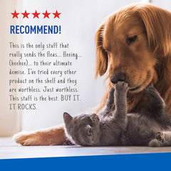 ** Adams Flea & Tick Spray 16oz