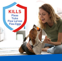 Adams Plus Flea & Tick Carpet Powder, 16oz