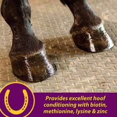 Joint Combo Hoof & Coat, 8 lb