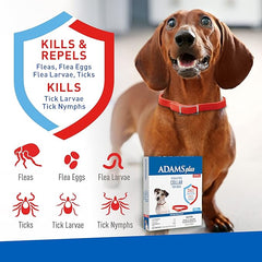 Adams Plus F/T Collars for Dogs - Small