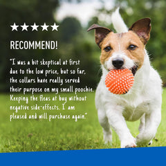 Adams Plus F/T Collars for Dogs - Small