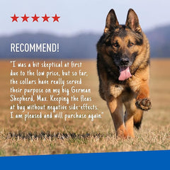 Adams Plus F/T Collars for Dogs - Large
