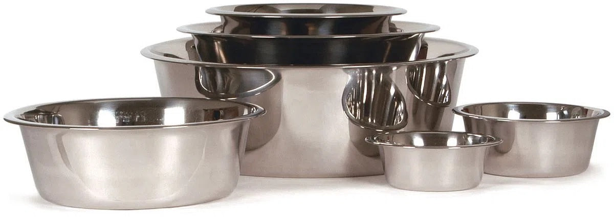 Comedero y bebedero Jeffers Pet de acero inoxidable de peso estándar para perros, gatos, cachorros y gatitos. Plato resistente, ideal para viajes, camping y uso en interiores y exteriores. Apto para lavavajillas. Capacidad: 5 cuartos (4,7 litros).