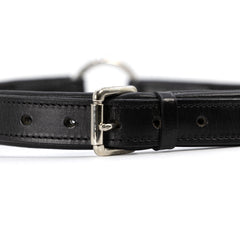 Jeffers Premium Padded Black Leather Dog Collar, 1" x 26"– Nickel Plated Buckle, Comfortable Pet Collar, Walking, Training, Leash Attachment, Safe, Stylish, Cute Gift for Dogs, Everyday Use