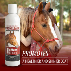 Jeffers Citronella Oil for Horses, 8 oz Concentrate, Makes Up to 120 oz Spray, 100% Pure Citronella Oil, Natural Grooming Additive, Fresh Scent Formula for Equine Coat Care