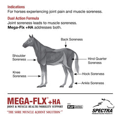 Mega-Flx +HA - Sore Muscle/Joint Liquid, gallon