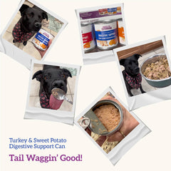 Digestive Support, Turkey & Sweet Potato Entrée in Gravy
