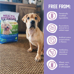 Health Extension Little Bites Chicken & Brown Rice Recipe Dry Dog Food 10lb