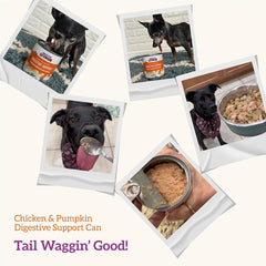 Digestive Support, Chicken & Pumpkin Entrée in Gravy