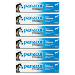Panacur Dewormer Horse Paste 10%, 100mg | 6-Pack