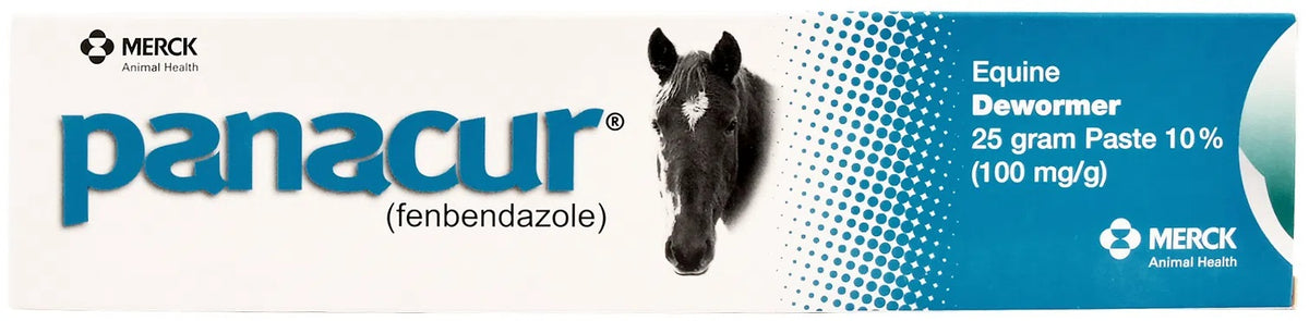 Panacur Dewormer Horse Paste 10%, 100mg | 3-Pack