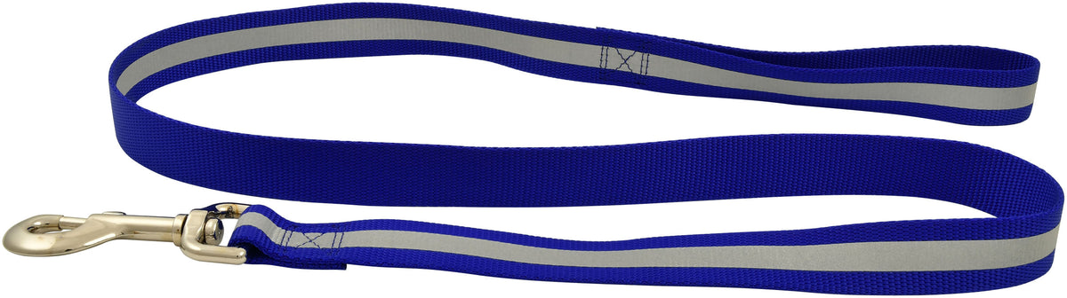 Jeffers Pet Reflective Glow in the Dark Dog Leash 1" x 4' Nylon Pet Leash for Walking Training Running Hiking, Durable Dog Lead with Safety Stripe for Night Visibility, for Dogs Puppies - Blue