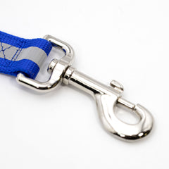 Jeffers Pet Reflective Glow in the Dark Dog Leash 1" x 4' Nylon Pet Leash for Walking Training Running Hiking, Durable Dog Lead with Safety Stripe for Night Visibility, for Dogs Puppies - Blue
