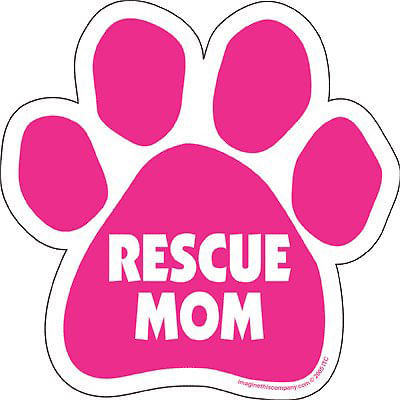 Rx Terramycin Eye Ointment, 1/8 oz