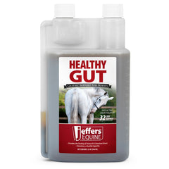 Jeffers Equine Healthy Gut Gastric Support – Liquid Digestive Supplement for Horses, Easy to Administer Formula, Supports Gut Comfort & Balanced Digestion – 32 oz (32 Day Supply) 6 Count