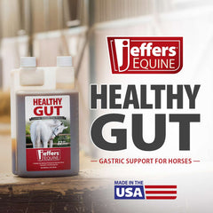 Jeffers Healthy Gut Horse Gastric Support – Liquid Digestive Supplement for Horses Prone to Ulcers, Easy to Feed Formula, Supports Gut Comfort & Balanced Digestion – 32 oz (32 Day Supply)