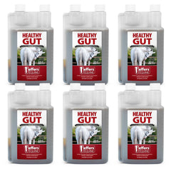Jeffers Equine Healthy Gut Gastric Support – Liquid Digestive Supplement for Horses, Easy to Administer Formula, Supports Gut Comfort & Balanced Digestion – 32 oz (32 Day Supply) 6 Count