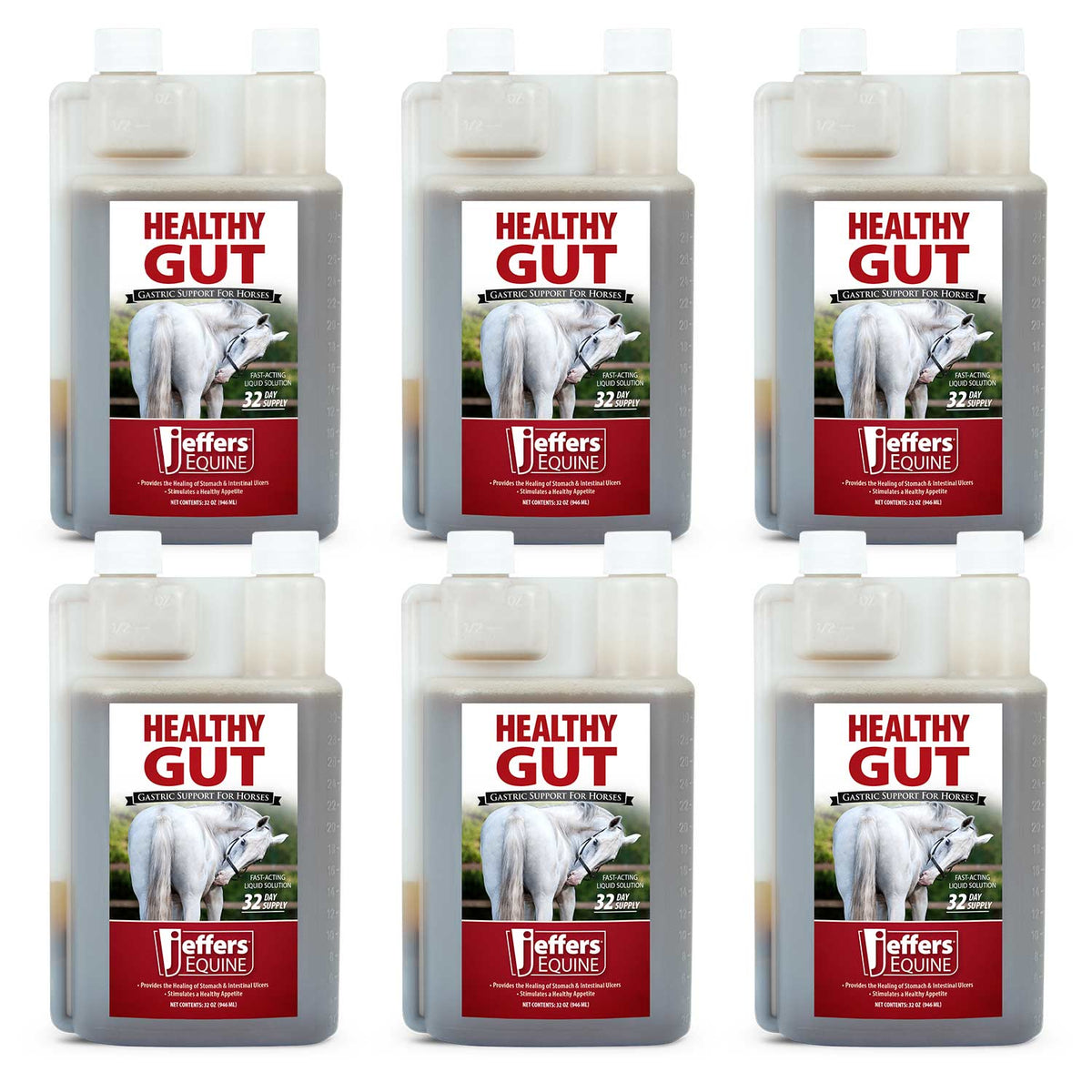 Jeffers Equine Healthy Gut Gastric Support – Liquid Digestive Supplement for Horses, Easy to Administer Formula, Supports Gut Comfort & Balanced Digestion – 32 oz (32 Day Supply) 6 Count