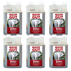 Jeffers Equine Healthy Gut Gastric Support – Liquid Digestive Supplement for Horses, Easy to Administer Formula, Supports Gut Comfort & Balanced Digestion – 32 oz (32 Day Supply) 6 Count