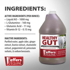Jeffers Equine Healthy Gut Gastric Support – Liquid Digestive Supplement for Horses, Easy to Administer Formula, Supports Gut Comfort & Balanced Digestion – 1 gallon (128-day supply) 4 Count