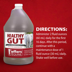 Jeffers Equine Healthy Gut Gastric Support – Liquid Digestive Supplement for Horses, Easy to Administer Formula, Supports Gut Comfort & Balanced Digestion – 1 gallon (128-day supply) 4 Count