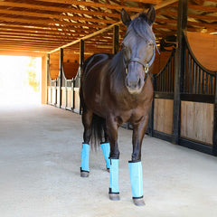 Jeffers Romper Stomper Fly Boots for Horses, Turquoise, Small, Breathable Mesh Horse Leg Protection Leggings, Adjustable, Chemical Free, Easy Clean, Reduce Stomping, Equine Accessories - 4 Pack