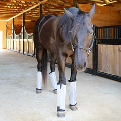 Jeffers Equine Romper Stomper Fly Boots for Horses, Grey, Medium, Breathable Mesh Horse Leg Protection Leggings, Adjustable, Chemical Free, Easy Clean, Reduce Stomping, Equine Accessories - 4 Pack