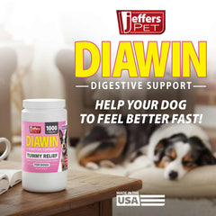 Jeffers Pet Diawin Digestive Support for Dogs, Bismuth Subsalicylate 65 mg - Anti Diarrhea Tablets for Dogs, Stool Firming & Tummy Relief, Fast Acting Digestive Aid for Home or Travel Use, 1000 Count