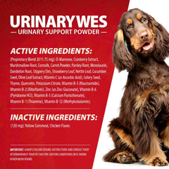 Jeffers Pet UrinaryWes Urinary Support Powder for Dogs & Cats, D-Mannose & Cranberry Supplement for Urinary Tract & Bladder Health, Kidney Support, UTI Prevention, Chicken Flavor Food Topper – 45 g