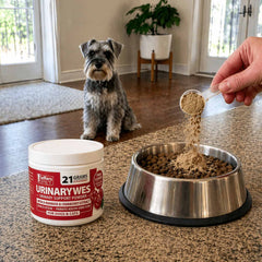 Jeffers Pet UrinaryWes Urinary Support Powder for Dogs & Cats, D-Mannose & Cranberry Supplement for Urinary Tract & Bladder Health, Kidney Support, UTI Prevention, Chicken Flavor Food Topper – 90 g