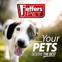 Jeffers Reflective Glow in the Dark Nylon Dog Leash 1" x 4' – Durable Webbing Leash with Safety Stripe, Metal Clip, Walking, Training, Running, Outdoor Use for Dogs Puppies Pets - Red