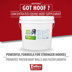 Jeffers Equine "Got Hoof?" Concentrated Horse Powder Hoof Supplement, 20 lbs - Biotin, Methionine, Zinc & Amino Acids for Safe Hoof Growth, Strength, and Dry Hooves - Includes 1 oz Scoop