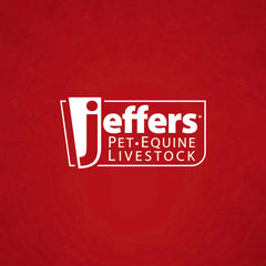 Jeffers Pet Heavy Weight Stainless Steel Pet Bowls for Dogs & Cats, 30 oz – Durable Food & Water Dish, Non Slip, Rust Resistant, Dishwasher Safe Feeding Bowl for Home, Travel, Indoor & Outdoor