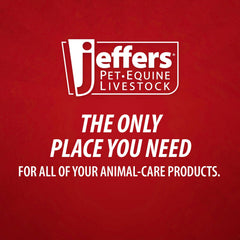 Jeffers Feed Scoop for Horses, Livestock, Pets, Chickens, Goats – 5 Pint 2.5 Quart Heavy-Duty Plastic Grain Scoop – Durable Farm Tool for Animal Feed, Barn, Stable, Garden, Dog Food - Blue