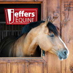 Jeffers Equine Dental Speculum with Red Handle, 11" L - Stainless Steel Horse Mouth Speculum, Coil Style Dental Tool for Horses, Equine Dentistry Instrument for Oral Exams and Teeth Floating