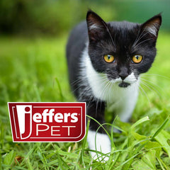Jeffers Pet Cat Collar with Bell – Reflective Breakaway Plastic Buckle Safety Collar for Kittens & Adult Cats, Adjustable Single Ply Nylon, High Visibility, Indoor & Outdoor – Stripe, Red