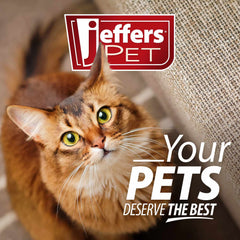 Jeffers Pet Belly Buddy Probiotic Supplement Packets for Cats, 30 count