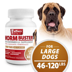 Worm Buster Dog Dewormer Tablets (46-120lb), 2 Tablets