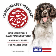 Jeffers Pet Belly Buddy Probiotic Supplement Packets for Dogs, 30 count